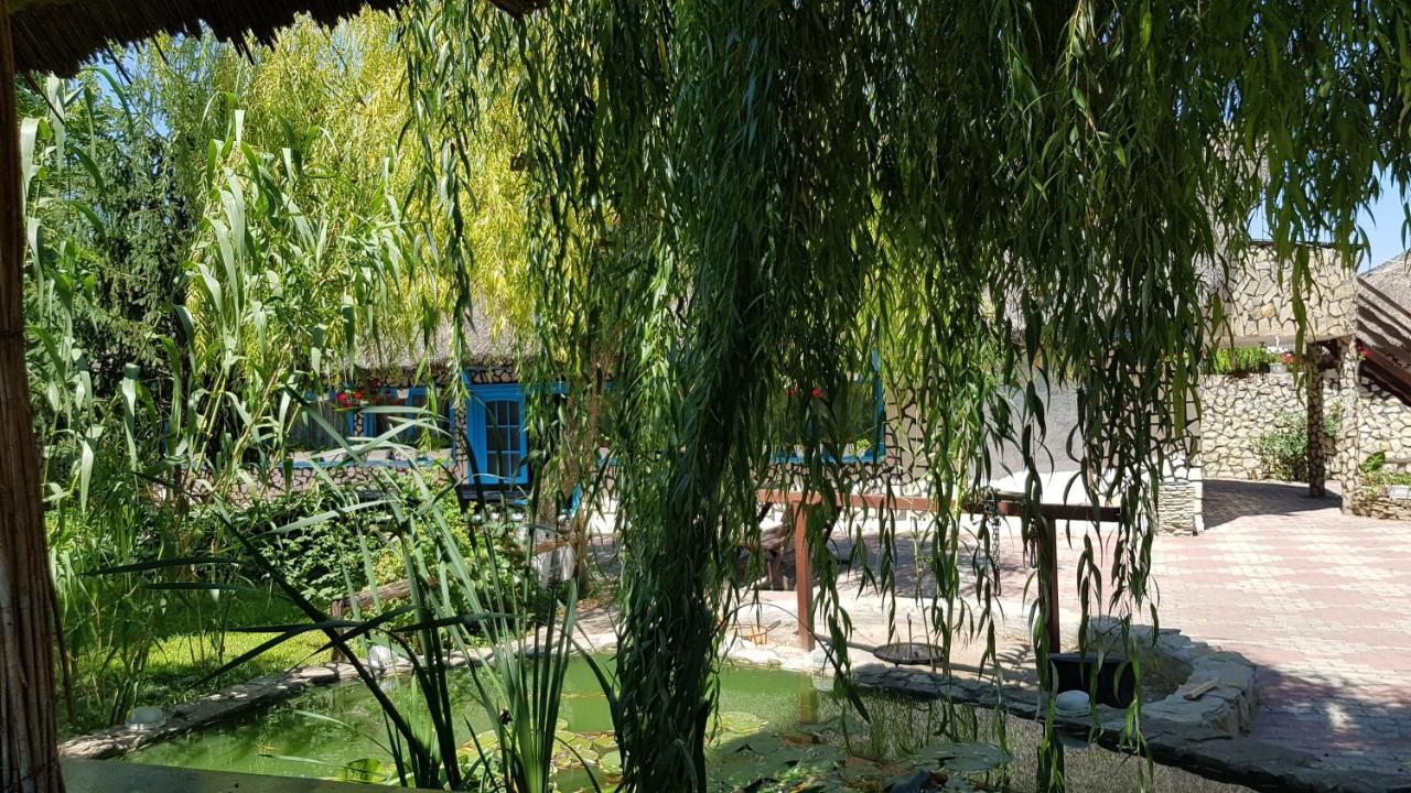 Pensiunea Iubire De Delta " La Traian " موريغيول المظهر الخارجي الصورة